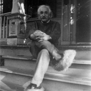 Albert Einstein in fur slides