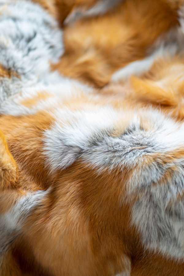 Brown Blue Frost Fox Fur Blanket