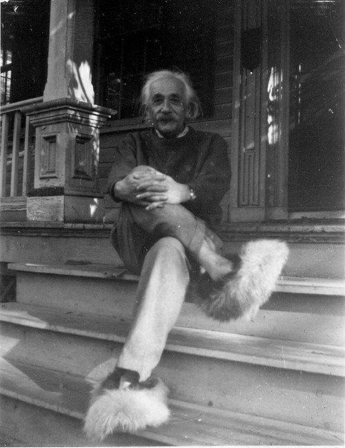 Albert Einstein in fur slides