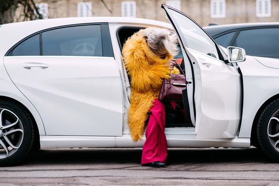lama fur coat in Copenhagen