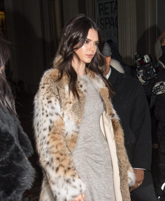 The Most Expensive Real Fur Coats, How Expensive Is A Mink Coat